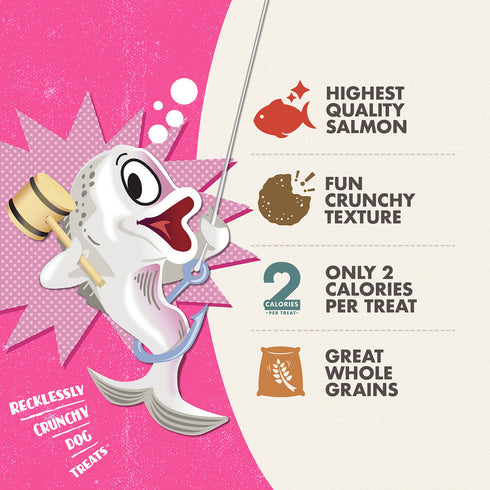 Fromm Crunchy O's Slammon' Smoked Salmon Dog Treats - Salmon - 26oz Bag